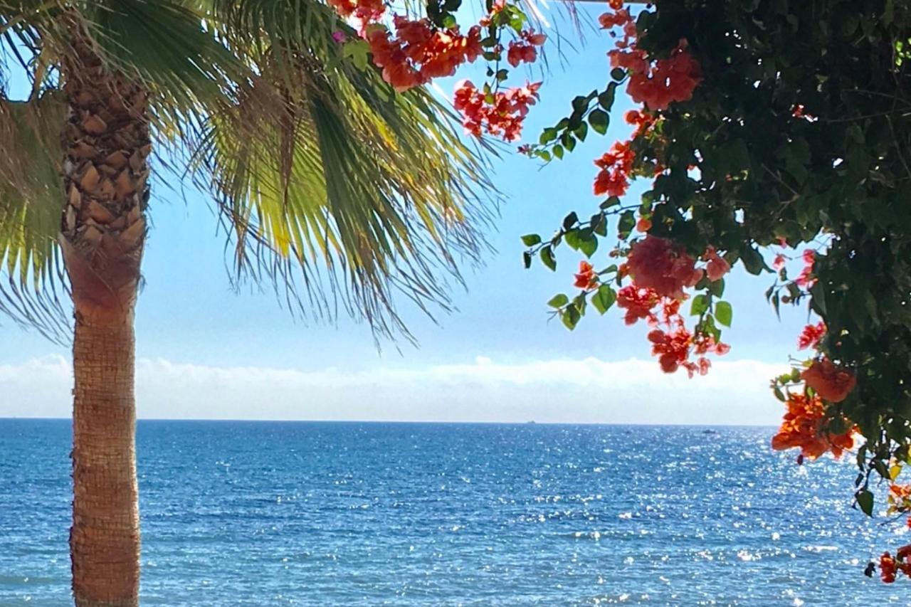 Marbella - Alicate Beachfront Apartment-9 מראה חיצוני תמונה